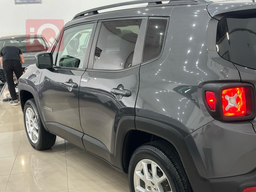 جيب رينيجيد